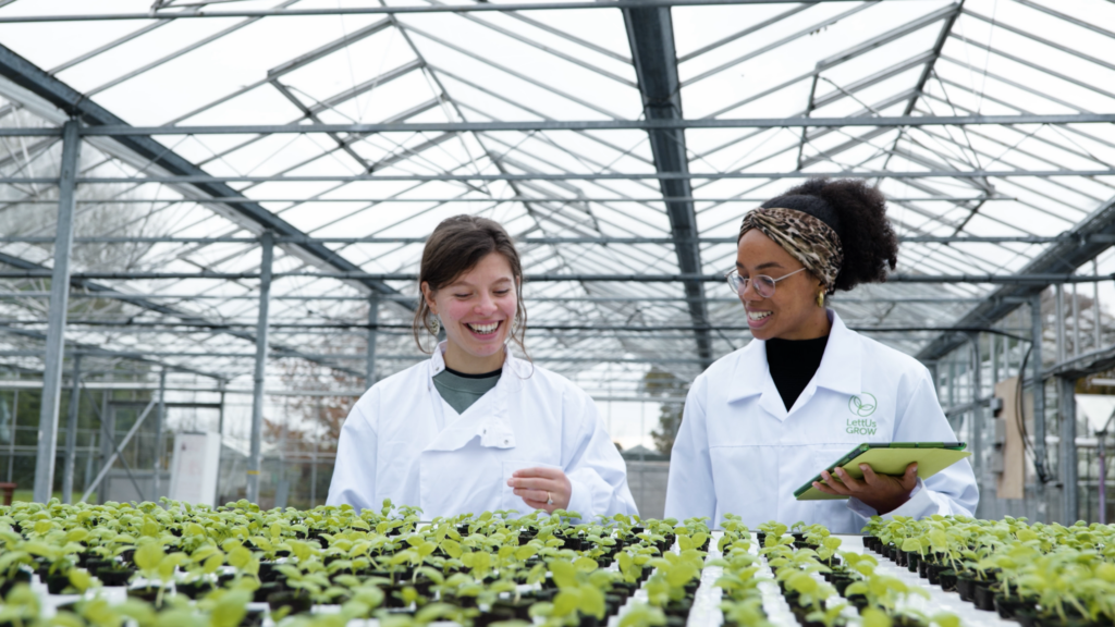 Startups & Innovators | UK Agri-Tech Centre | farming innovation | Advanced aeroponics