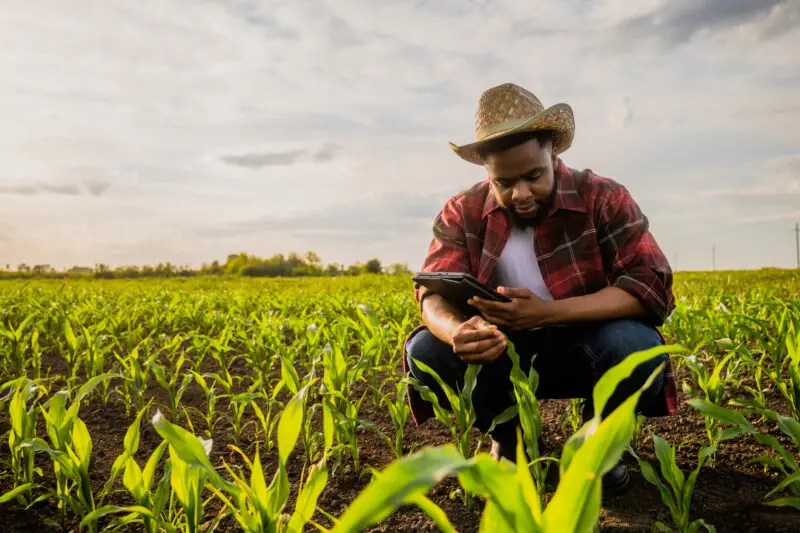 Young farmer using digital tablet in field | Expertise | UK Agri-Tech Centre | Farming innovation
