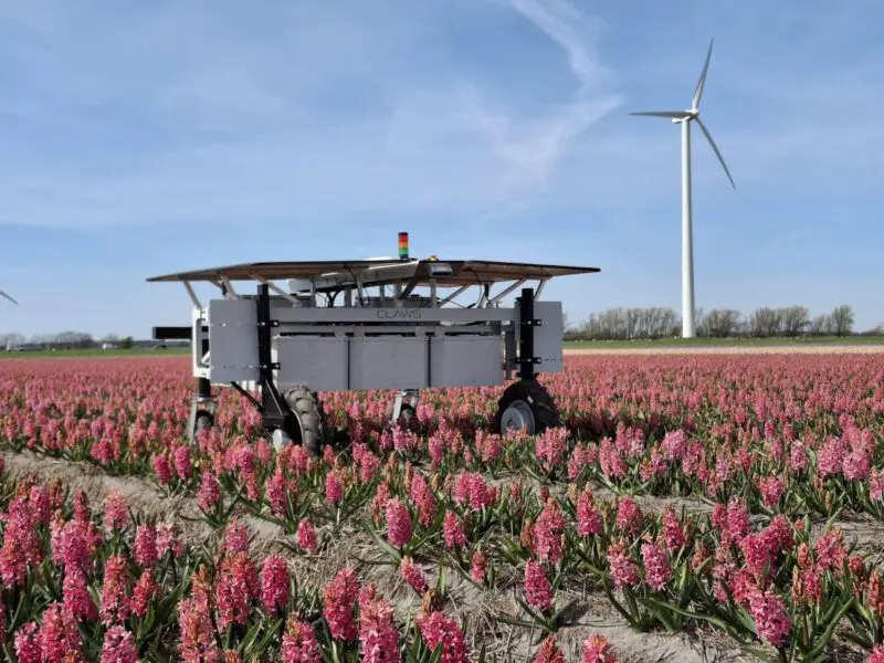 Earth Rover in field