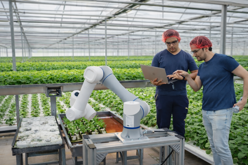 Sustainable propagation system