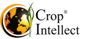 Logo CI
