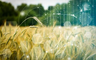 How AgriSynth is redefining AI development for agriculture