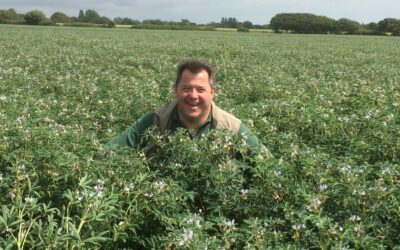 A conversation with Dr David McNaughton, Soya UK