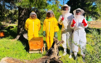 Sensor Solutions for South African beekeeping