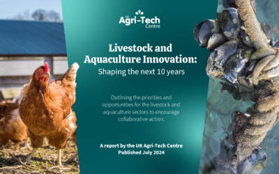 Livestock and aquaculture sectors’ 11 innovation priorities identified