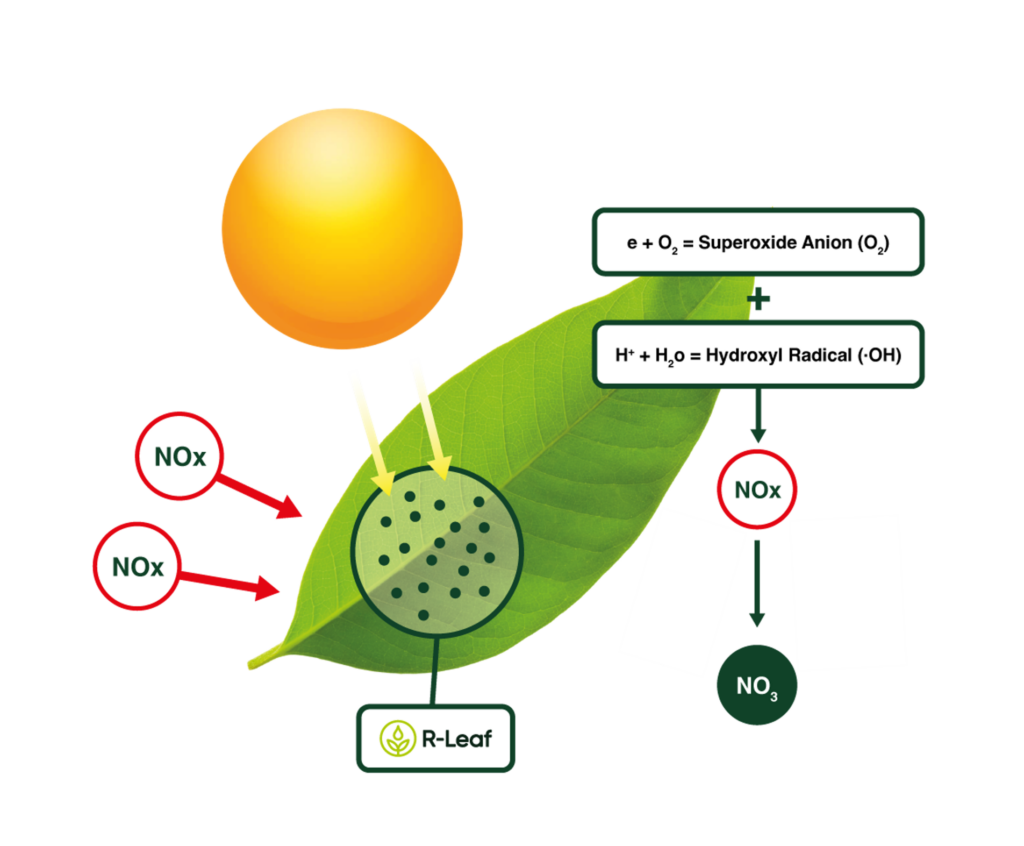 R-Leaf project