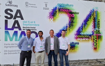 UK-Spain collaboration expands at Salamaq 2024 