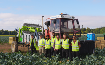 Automated broccoli harvester could help farmers with labour shortages with SusProt