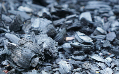 Biochar – A key tool in the journey to net zero 