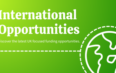 Latest International Opportunities