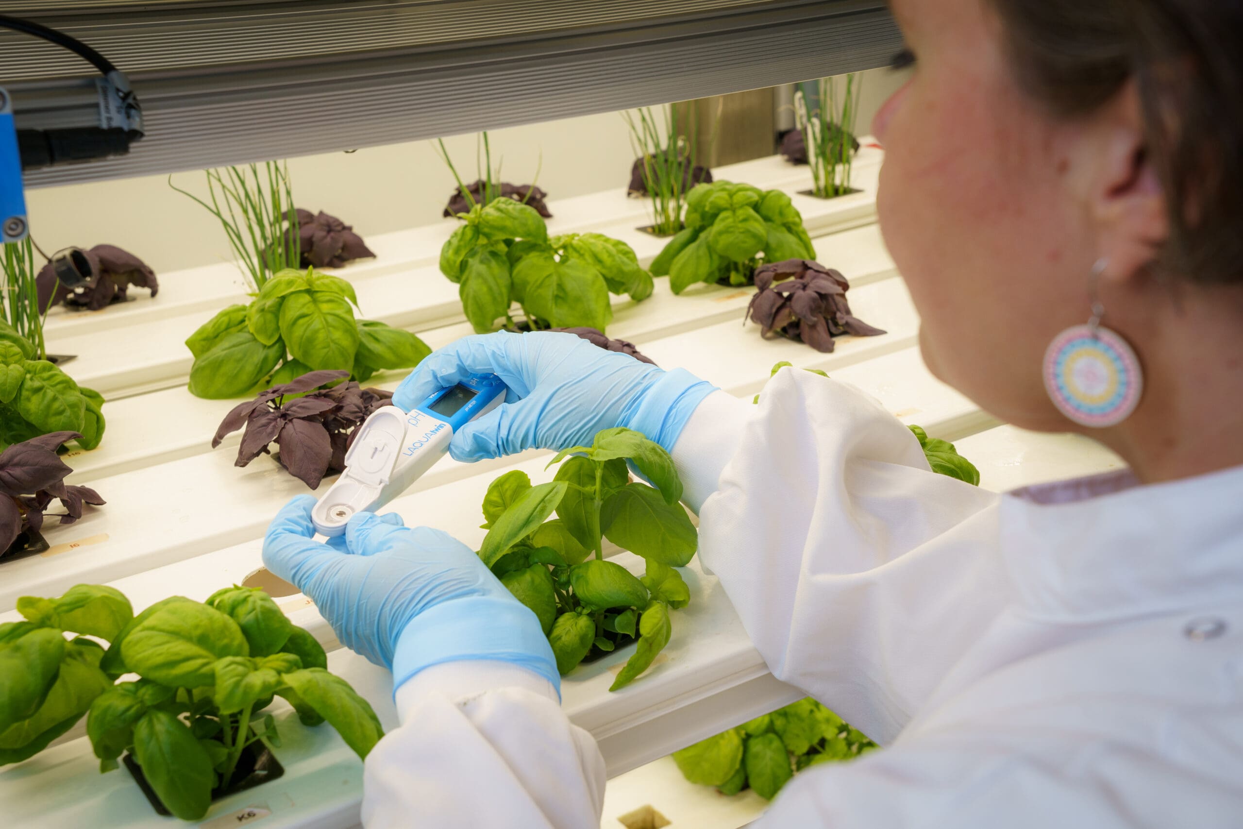 Innovation Hub for Controlled Environment Agriculture (IHCEA) | UK Agri ...