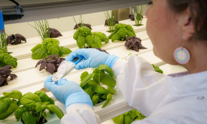 IHCEA - The UK Agri-Tech Centre