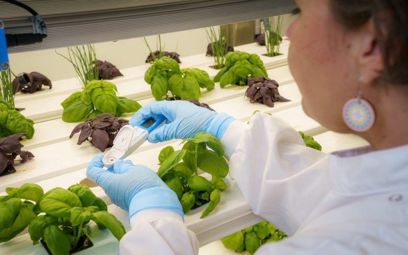 IHCEA - The UK Agri-Tech Centre