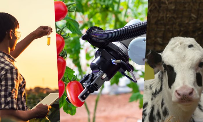 44Webbannerv2@2x-100