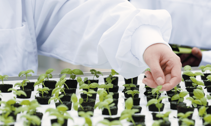 Advanced-Aeroponic-Stills-Hand-and-small-plants-1-1