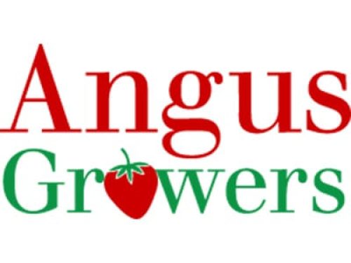 Angus Growers 400X300