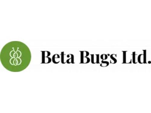 Beta bugs 400 x 300