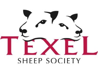 British texel sheep society 400 x 300