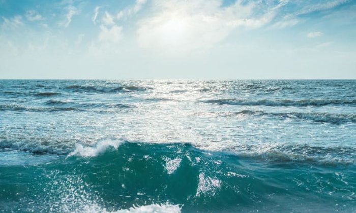 CIEL-Aquaculture-Brochure-A4-8pp-1