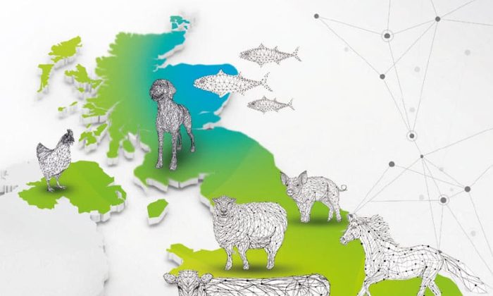 CIEL-Investing-in-Animal-Health-Report-July-2023-1