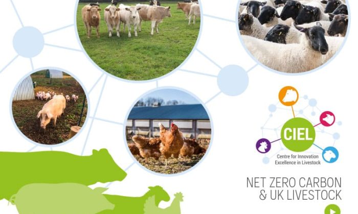 CIEL-Net-Zero-Carbon-UK-Livestock-FINAL-interactive-revised-May-2021-1