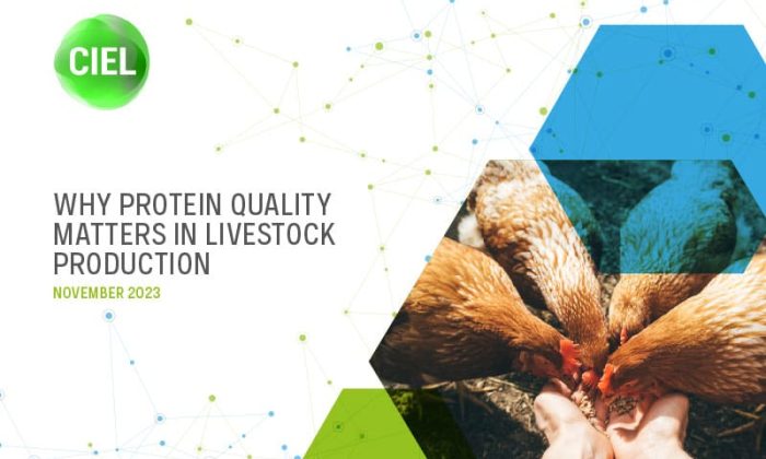 CIEL-Protein-Quality-Report-1