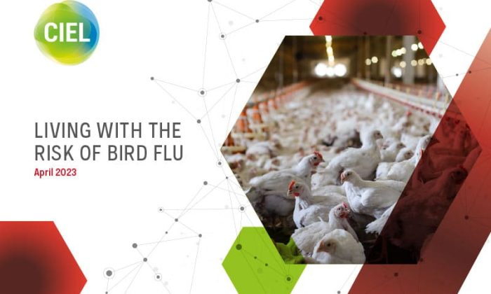 CIEL-bird-flu-report-final-low-res-APP-1