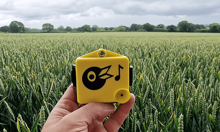 Chirrup_Cerealfarming