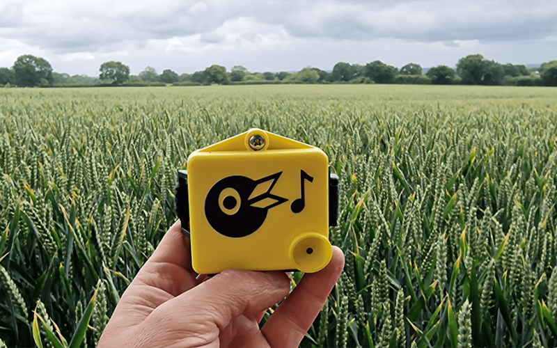 Chirrup_Cerealfarming