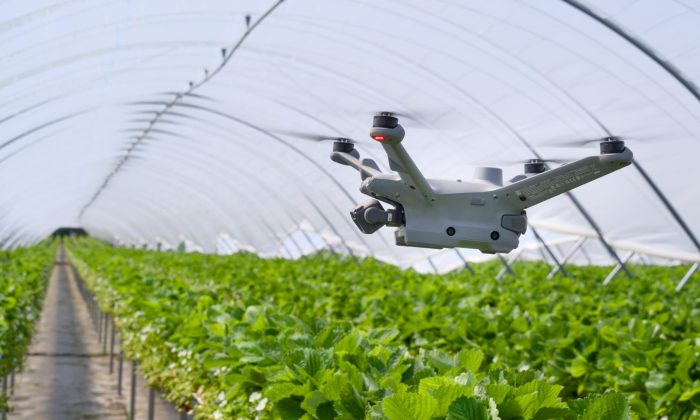 DSC00276 Drone in flight