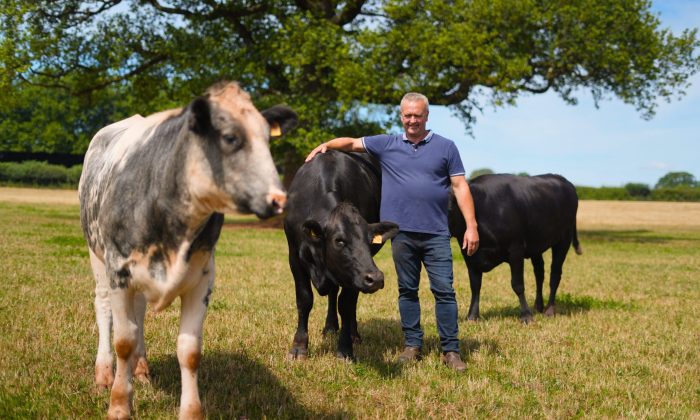 DSC00396 Jeremy with cows (1)