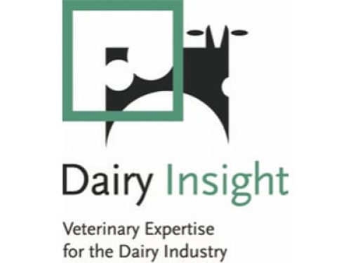 Dairy Insight 400 x 300