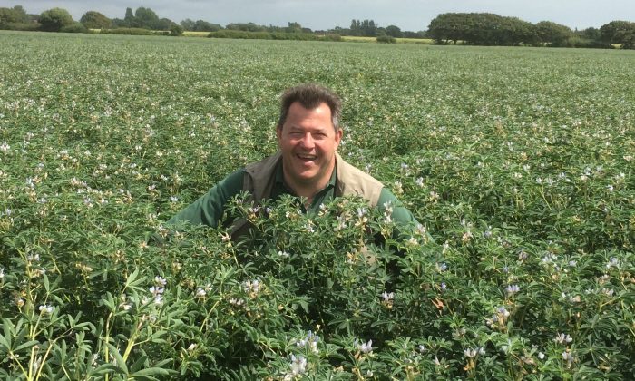 Dr David McNaughton, Soya UK