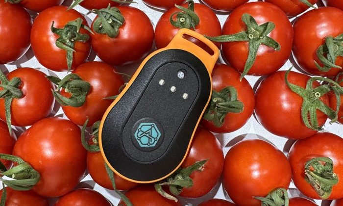 Device-on-tomatoes