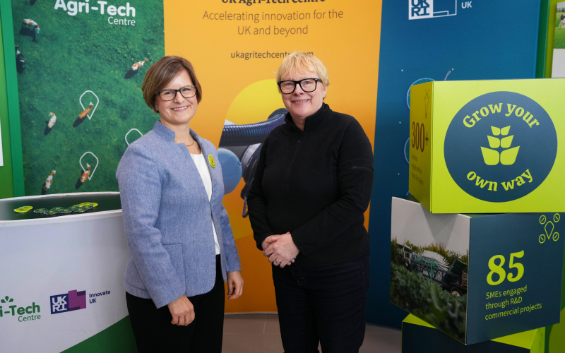 Exported-06732-colourcorrected