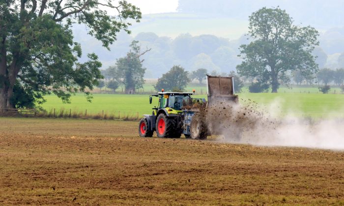 Hoddom, Scotland - September 6, 2021 : Claas tractor with manure spreader spreading manure