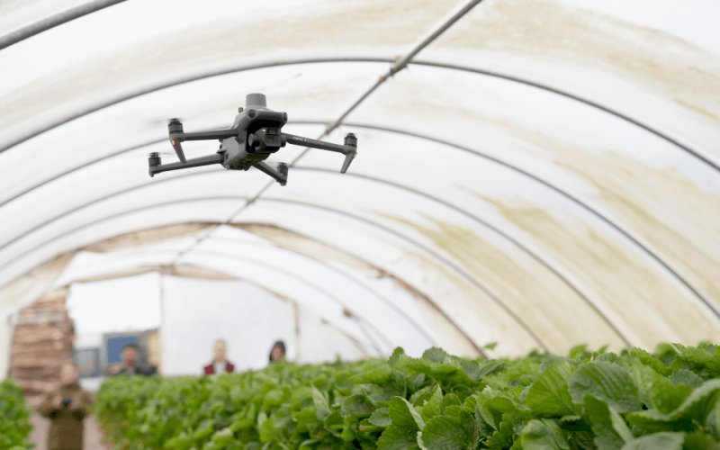 Flyer Drone Image (1)