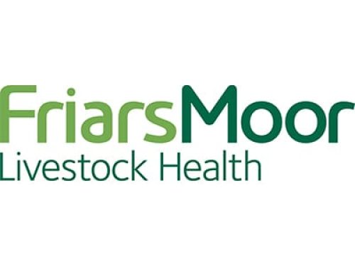 Friars moor 400 x 300