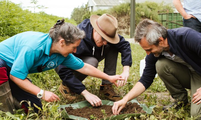 East Yorkshire Hemp Field Day, Innovative Farmers. Photography by Joanne Crawford