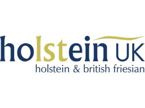 Holstein UK
