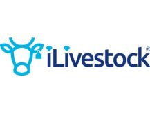 I Livestock 400 x 300