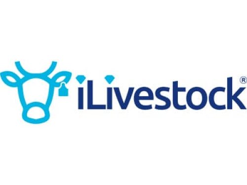 I Livestock 400 x 300