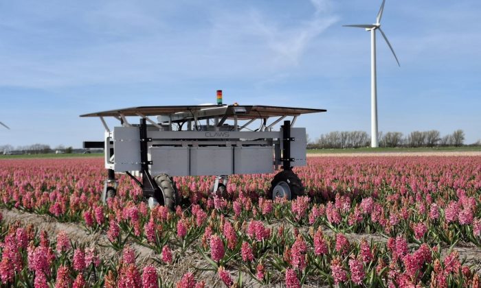 Earth Rover in field
