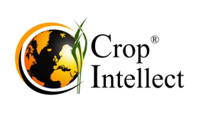 Logo white background