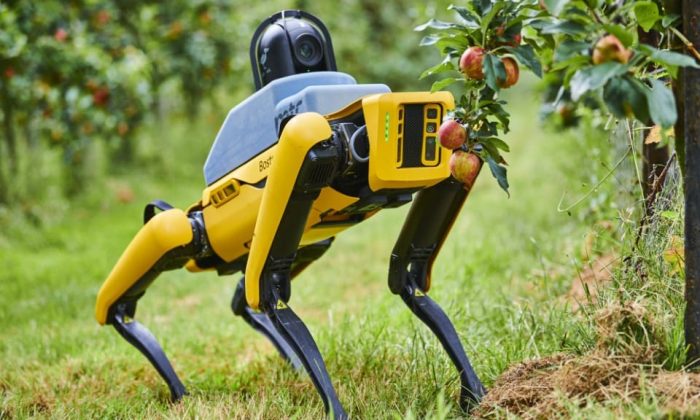 MTC_RoboCrop_BardsleyEngland_Aug2021_0260