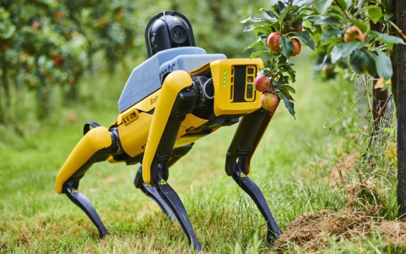MTC_RoboCrop_BardsleyEngland_Aug2021_0260