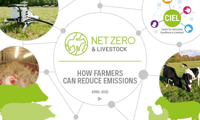 Net-Zero-Livestock-DOC-13th-may-interactive-LOW-RES-(2)-1