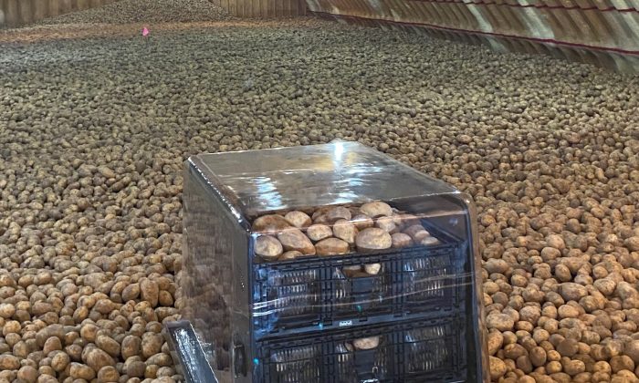 P-Pod in store closer