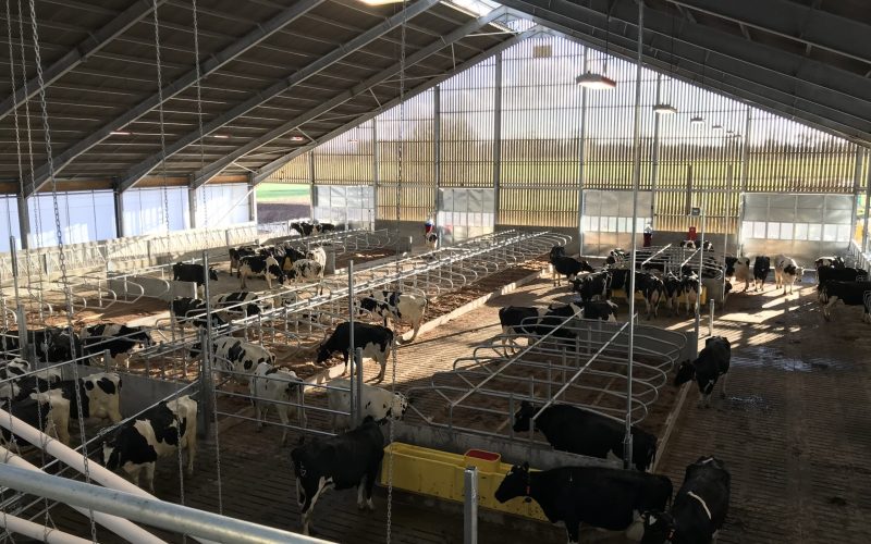 Photo 04-12-2017, 11 55 43 (1)