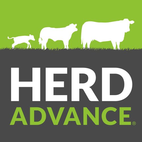 RGB - Herd Advance